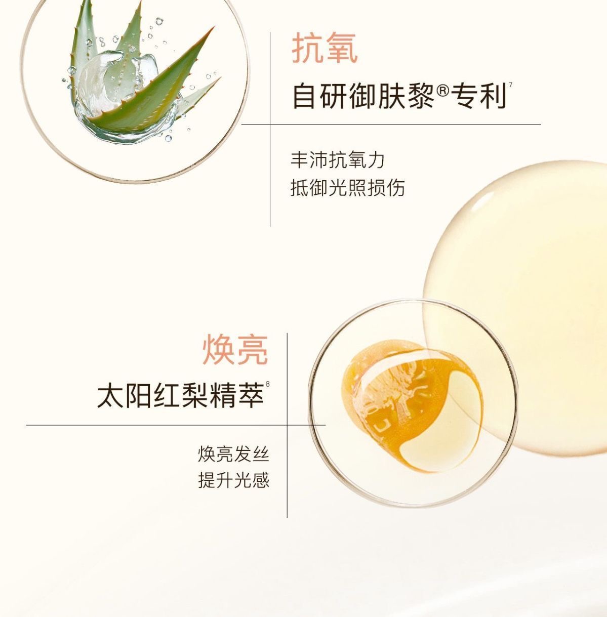 KIMTRUE且初发膜栀子花改善干枯女蓬松柔顺修护【200ml/瓶*1瓶】