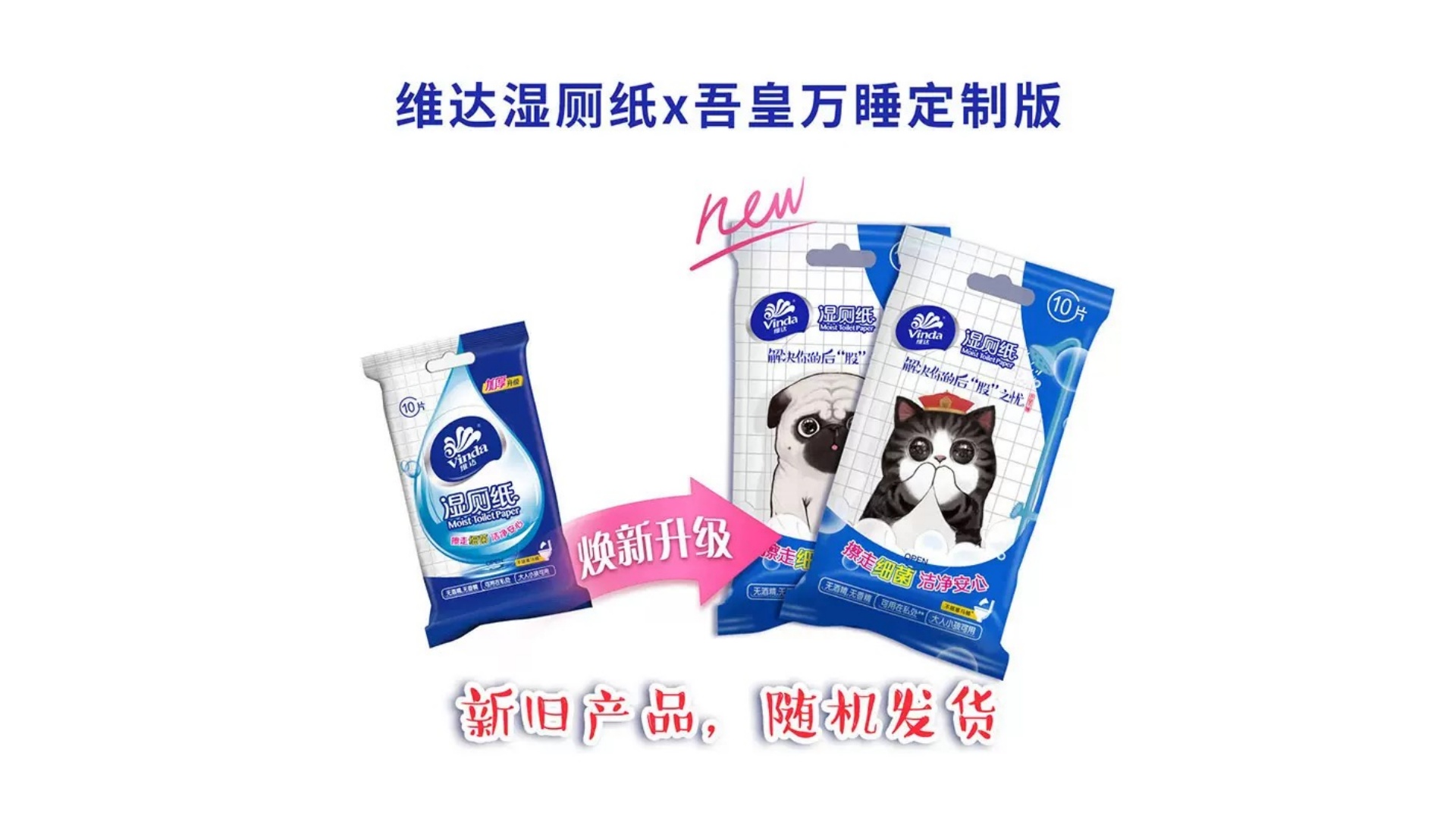 维达湿厕纸纯水可降解随身携带装10片/包【10包装】