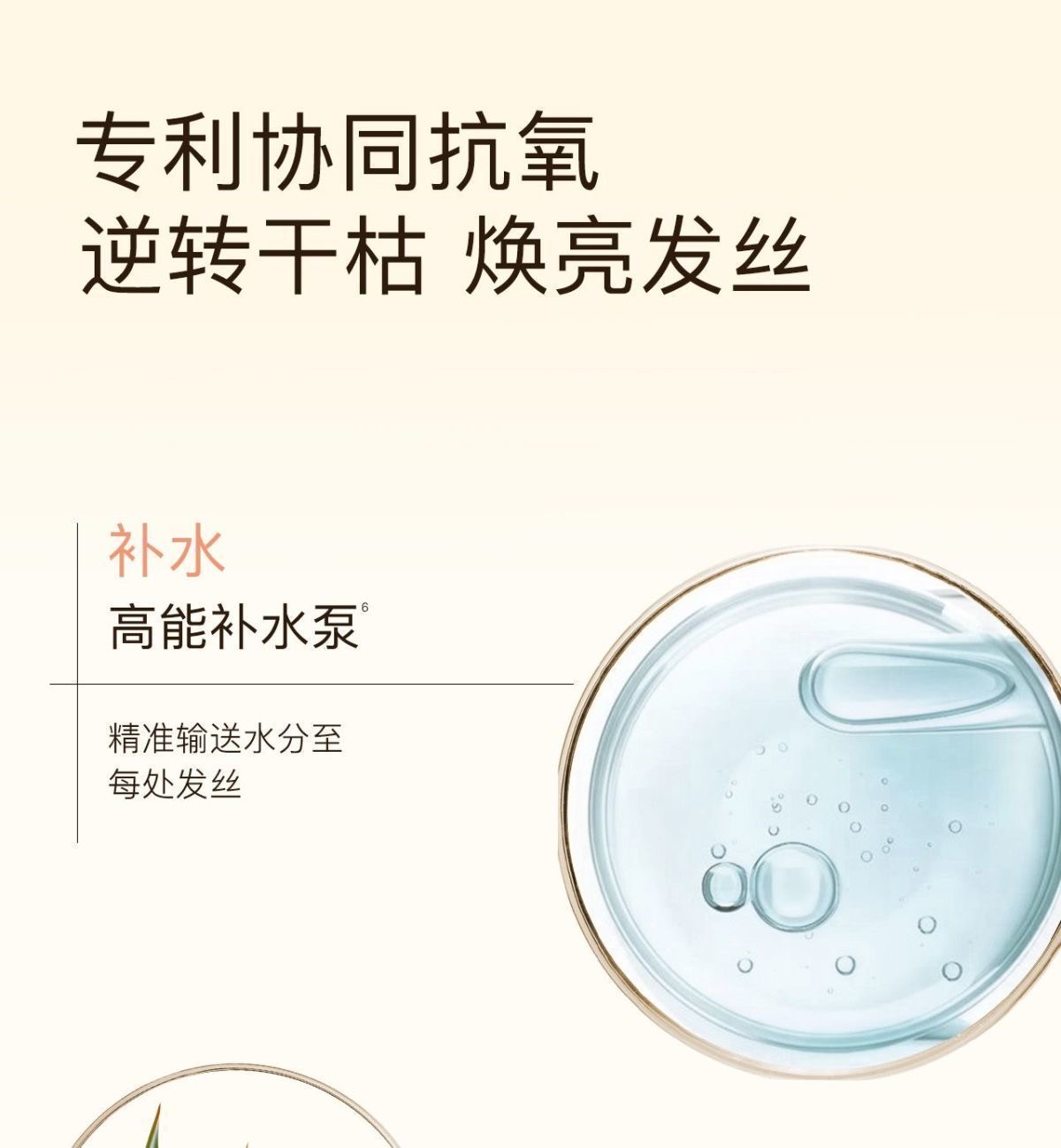 KIMTRUE且初发膜栀子花改善干枯女蓬松柔顺修护【200ml/瓶*1瓶】